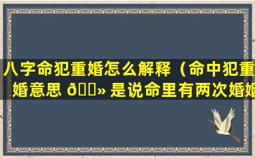 八字命犯重婚怎么解释（命中犯重婚意思 🌻 是说命里有两次婚姻吗）